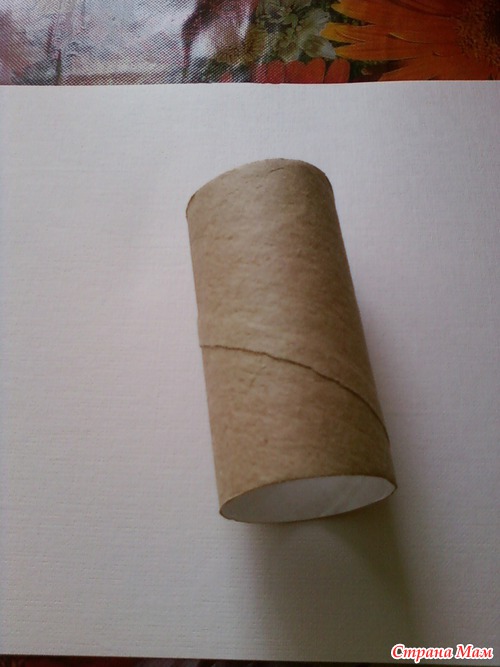Как называются рулончики свернутые из узких полосок. Втулка от туалетной бумаги. Из втулок туалетной бумаги. Рулон от туалетной бумаги. Втулка картонная от туалетной бумаги.