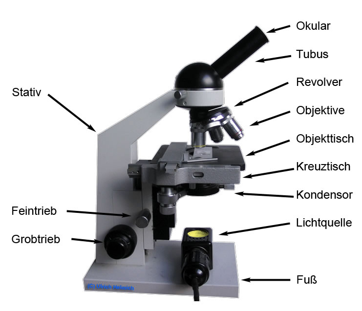 Функция револьвера в микроскопе. Конденсор микроскопа Karl Zeiss. Препаратодержатель микроскопа Zeiss primo Star. Револьвер для микроскопа Levenhuk. Револьвер 2-позиционный для микроскопа.